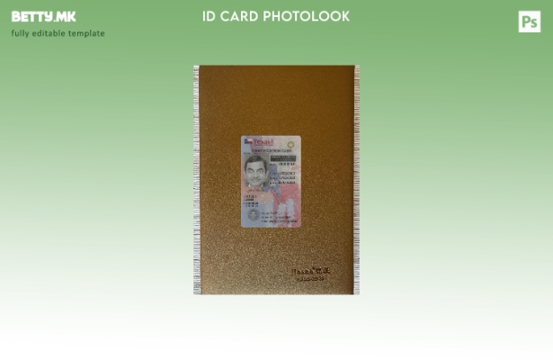 Модерен стил САД Тексас под лична карта photolook пред шаблон