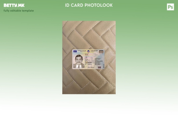 Модерен стил Словенија лична карта присутна photolook пред шаблон 1