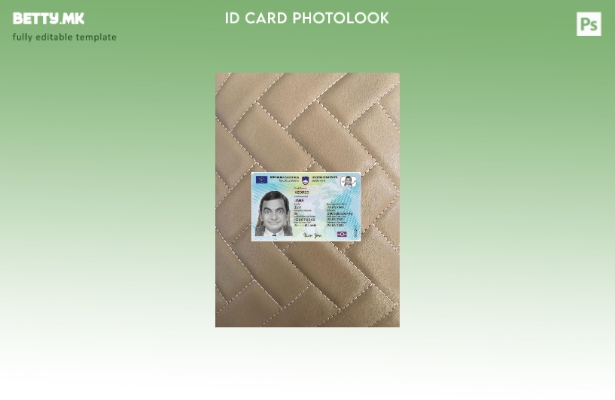 Модерен стил Словенија лична карта присутна photolook пред шаблон