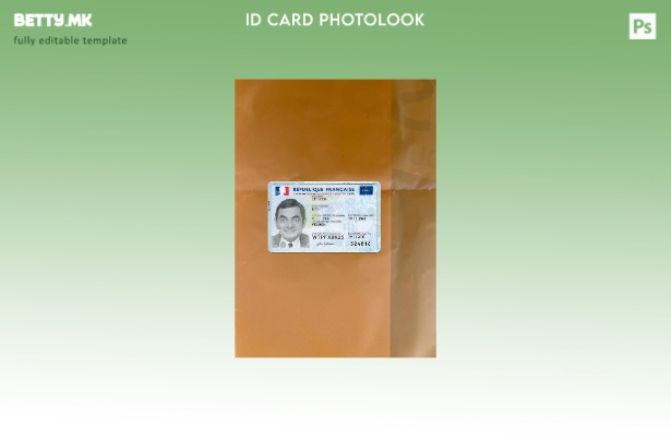 Модерен стил Франција лична карта сегашна верзија photolook предниот шаблон