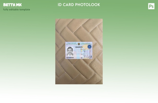 Модерен стил на Ирак ИД присутен преден шаблон со фото изглед