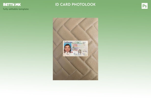 Модерен стил на предниот шаблон за лична карта на Калифорнија со фото изглед