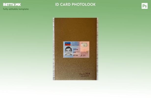 Модерен стил на предниот шаблон за фото изглед на лихтенштајнска лична карта