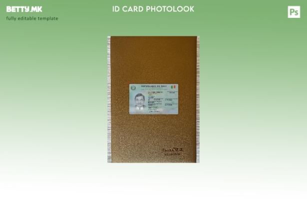 Модерен стил на предниот шаблон за фото изглед на лична карта на Мали