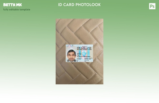 Модерен стил на предниот шаблон за фото изглед на националната лична карта на Св