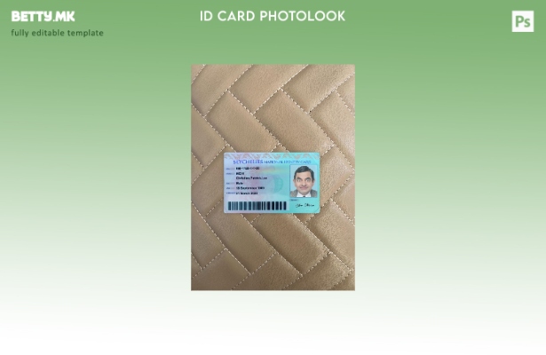 Модерен стил на предниот шаблон со фото изглед на националната лична карта на Се