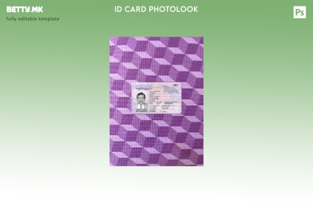 модерен стил Грузија ID photolook ПРЕДЕН шаблон