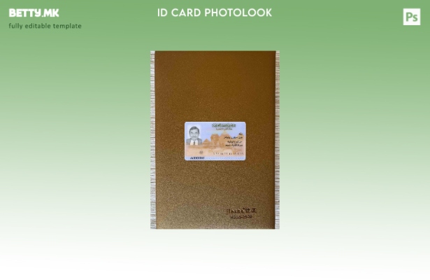 модерен стил Египет ID photolook ПРЕДЕН шаблон