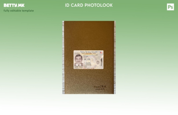 модерен стил САД Њу Јорк лична карта е преден шаблон со фото изглед