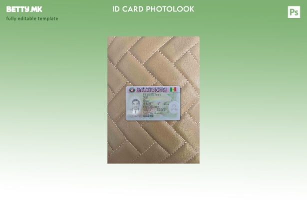 модерен стил Сенегал ID photolook ПРЕДЕН шаблон