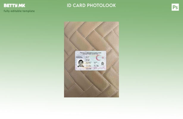 модерен стил Турција ID photolook ПРЕДЕН шаблон