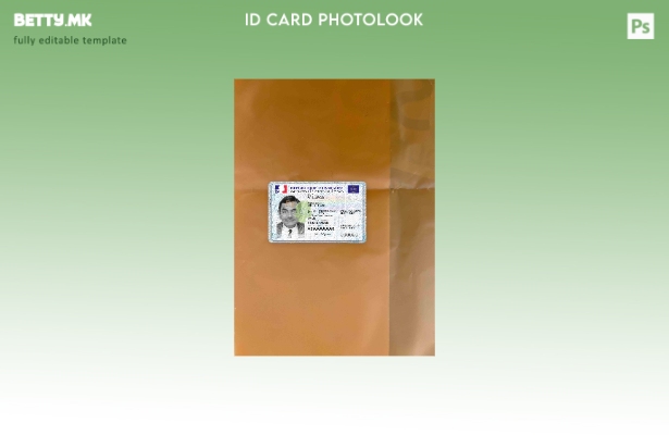 модерен стил Франција нов ID (сегашен март) photolook ПРЕДЕН шаблон