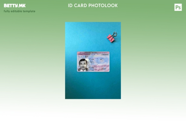 модерен стил Чешка ID photolook ПРЕДЕН шаблон