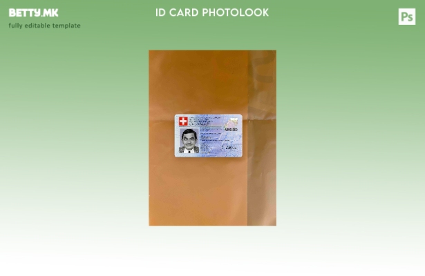 модерен стил Швајцарија ID photolook ПРЕДЕН шаблон