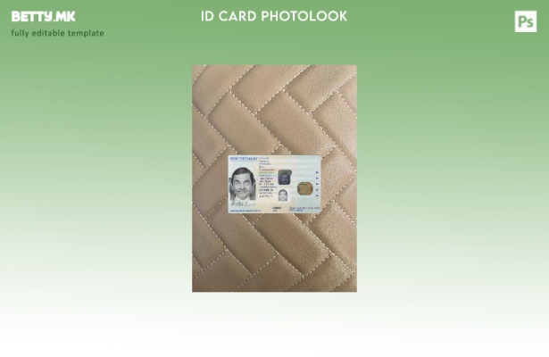 модерен стил Шведска лична карта е преден шаблон со фото изглед