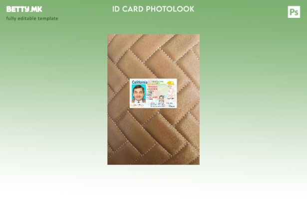 модерен стил на САД Калифорнија лична карта присутна photolook пред шаблон