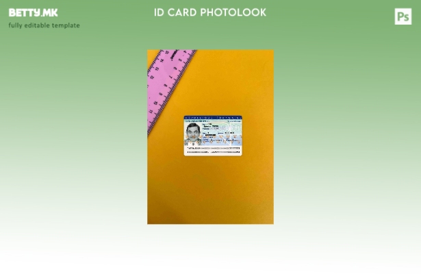 модерен стил France ID photolook FRONT шаблон