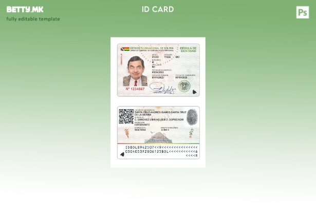 Модерен стил Боливија лична карта сегашен шаблон