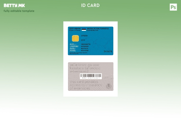 Модерен стил Естонија дигитална лична карта присутен шаблон