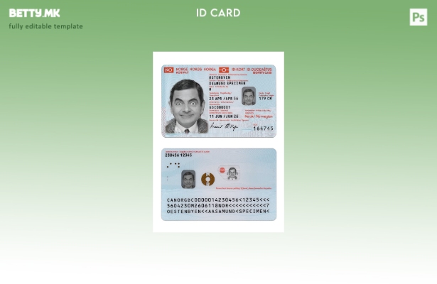 Модерен стил Норвешка лична карта сегашен шаблон