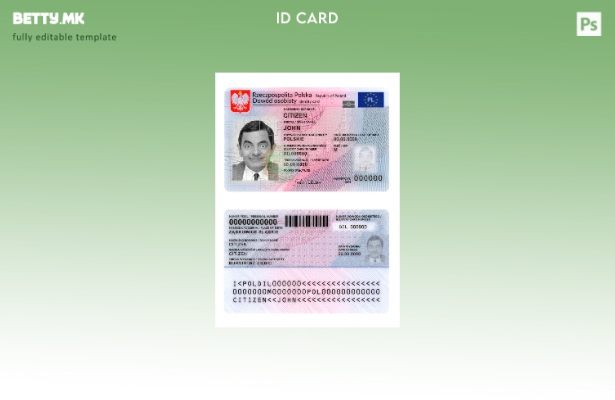 Модерен стил Полска лична карта сегашен шаблон