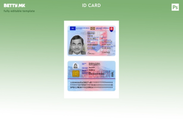 Модерен стил Словачка лична карта сегашен шаблон 1