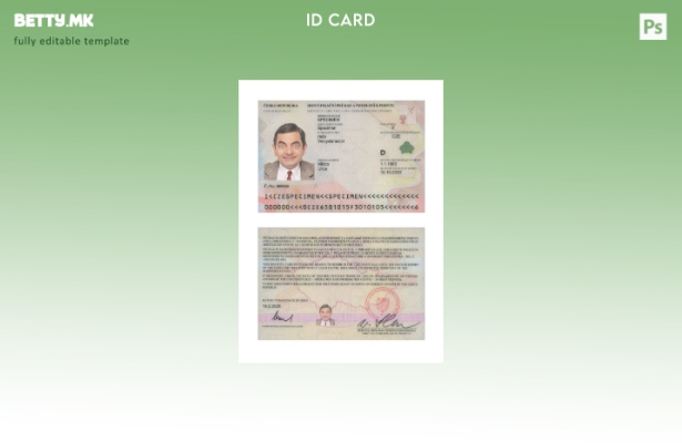 Модерен стил Чешка лична карта сегашен шаблон