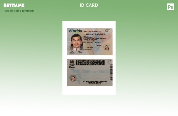 Модерен стил Шаблон за лична карта на САД Флорида