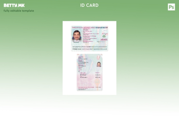 Модерен стил Шаблон за лична карта на Чешка