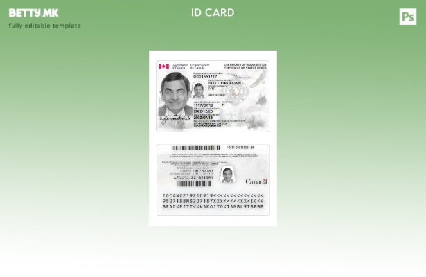 Модерен стил на Канада Шаблон за лична карта за индиски статус