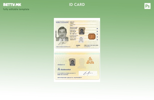Модерен стил на Шведска лична карта ПСД шаблон, – сегашен шаблон