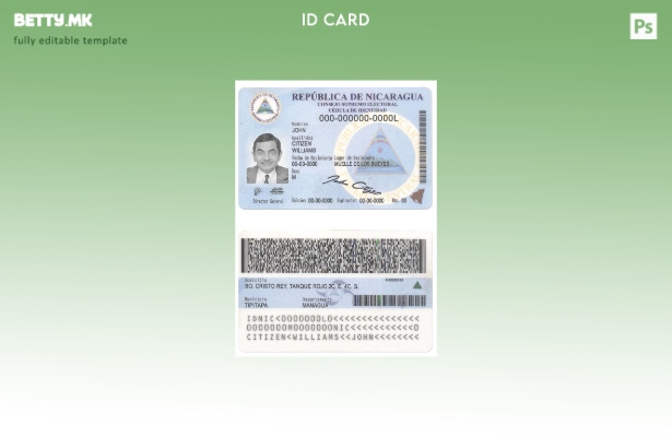 Модерен стил шаблон за идентитет на Никарагва