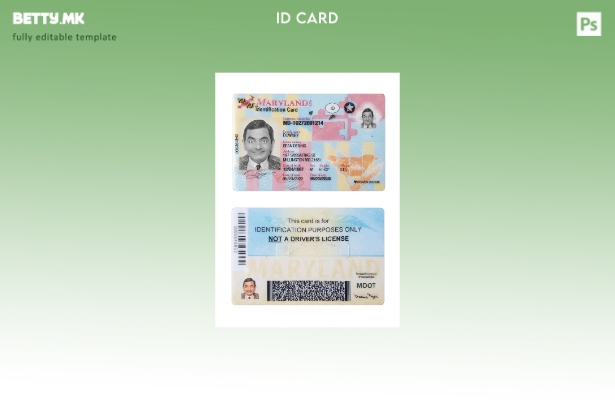 Модерен стил шаблон за лична карта на Мериленд на САД
