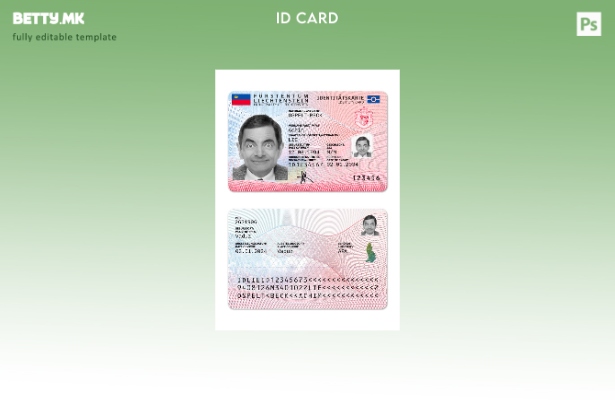 Модерен стил шаблон за лична карта од Лихтенштајн