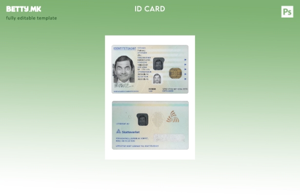 Модерен стил шаблон за подарок за лична карта Шведска