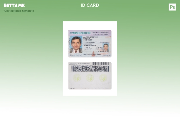 Модерен стил шаблон за сегашна лична карта на САД Вашингтон