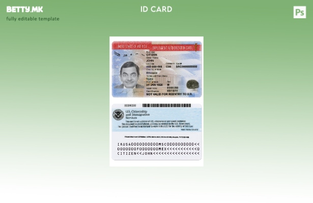 Модерен стил, шаблон за верзија на картичка за овластување за вработување во САД