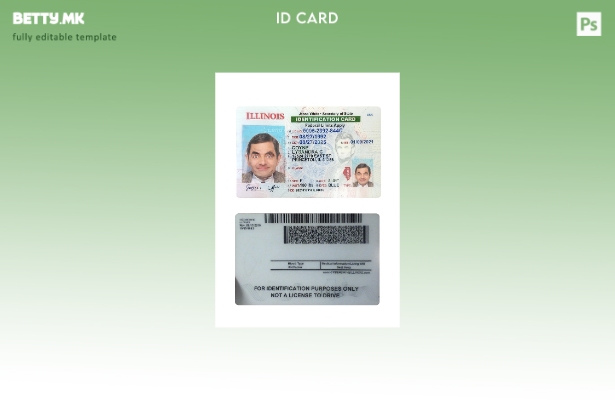 Шаблон за лична карта во модерен стил на САД Илиноис