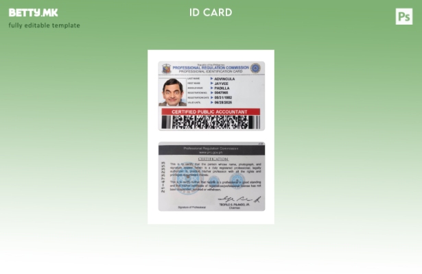 Шаблон за професионална лична карта во модерен стил на Филипините