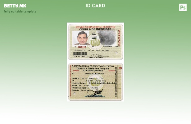 Шаблон за ID на Боливија во модерен стил