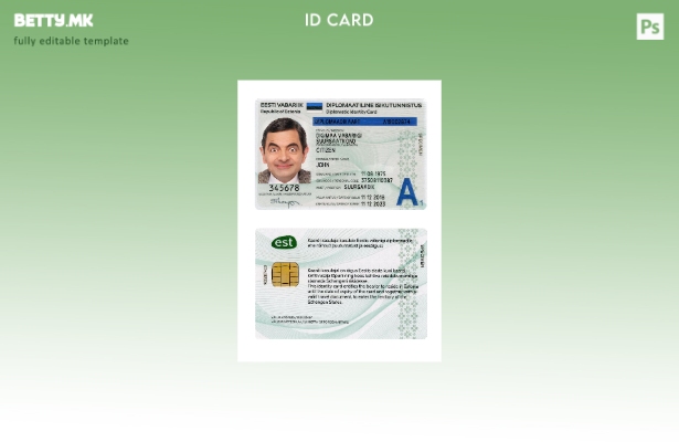 модерен стил Естонија дипломатска лична карта присутен шаблон