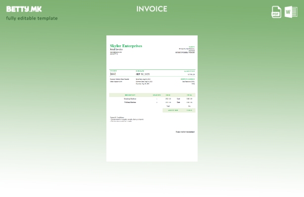 Модерен стил USA Skyler Enterprises шаблон за фактура
