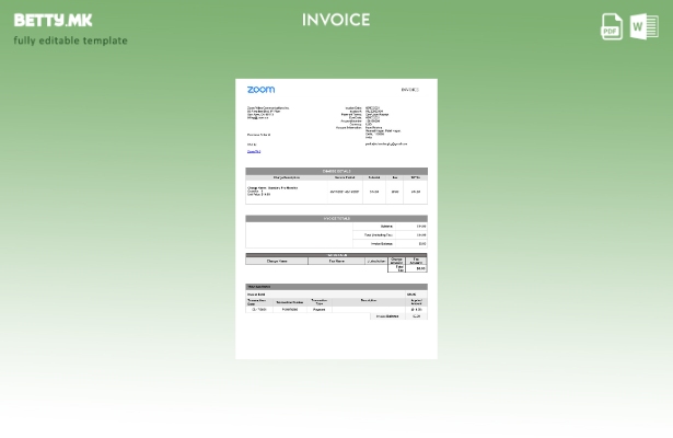 Модерен стил USA Zoom шаблон фактура