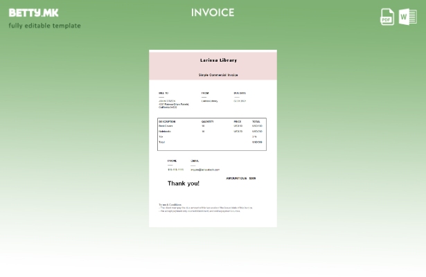 Шаблон за фактура за библиотека во САД Лариса во модерен стил