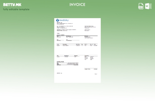 модерен стил Португалија Medsky Lda шаблон за фактура на компанија