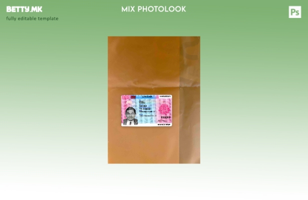 Модерен стил Естонија дозвола за престој photolook ПРЕДЕН шаблон