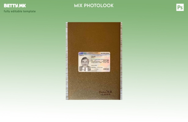 Модерен стил Литванија дозвола за престој photolook ПРЕДЕН шаблон