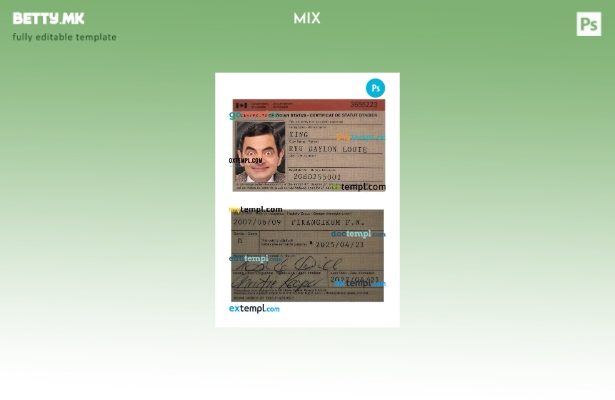 Модерен стил Канада сертификат за индиски статус шаблон