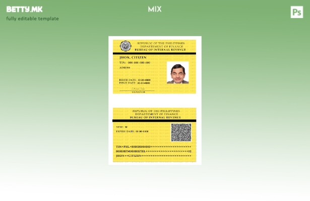 Модерен стил Филипинско биро за внатрешни приходи дефиниција