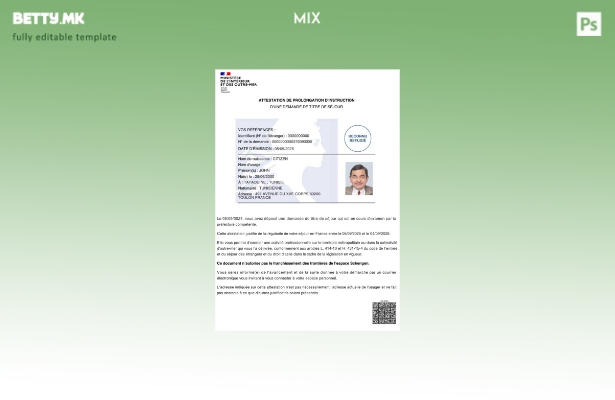 Модерен стил Франција сертификат за продолжување на шаблон за инструкции